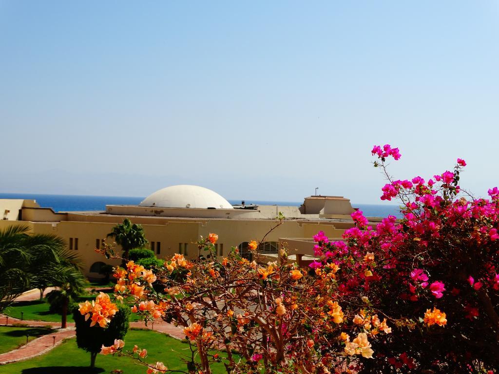 La Playa Beach Resort Taba Exterior photo